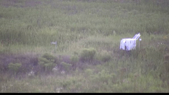 capture-5-23-08-08_20-42-08-13