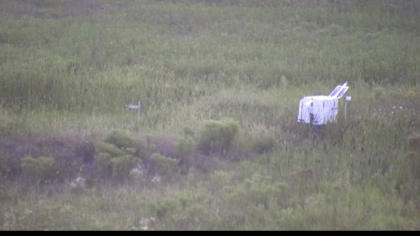 capture-5-23-08-08_20-44-17-06