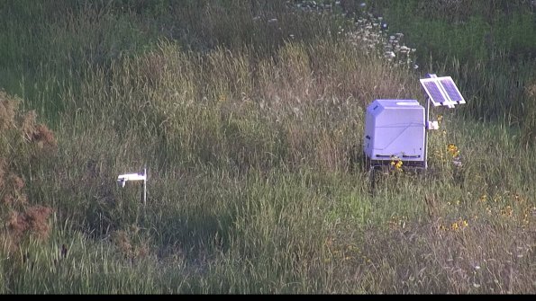 capture-6-23-08-08_07-48-34-97