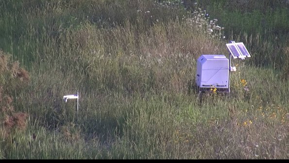 capture-6-23-08-08_07-52-55-36