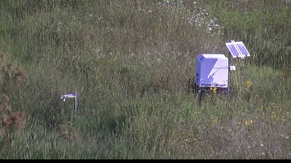 capture-6-23-08-08_09-15-15-36