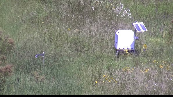 capture-6-23-08-08_13-02-08-61