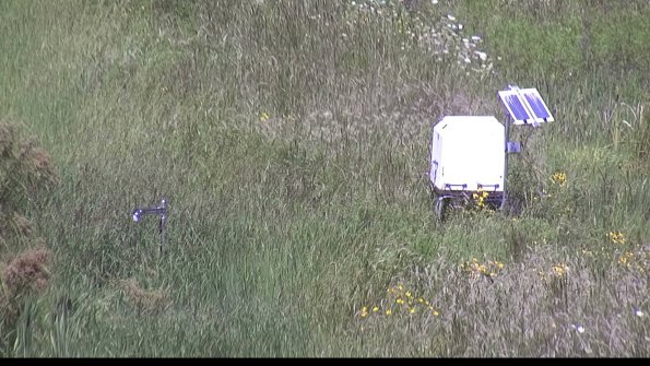 capture-6-23-08-08_13-41-10-53