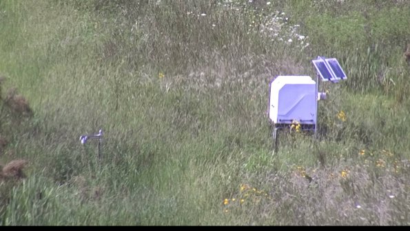 capture-6-23-08-08_16-34-30-37