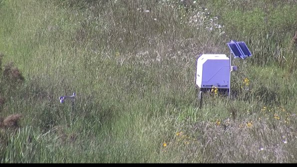 capture-6-23-08-08_17-20-46-50