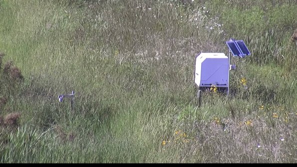 capture-6-23-08-08_17-22-56-63