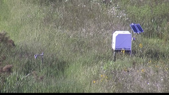 capture-6-23-08-08_17-53-17-22