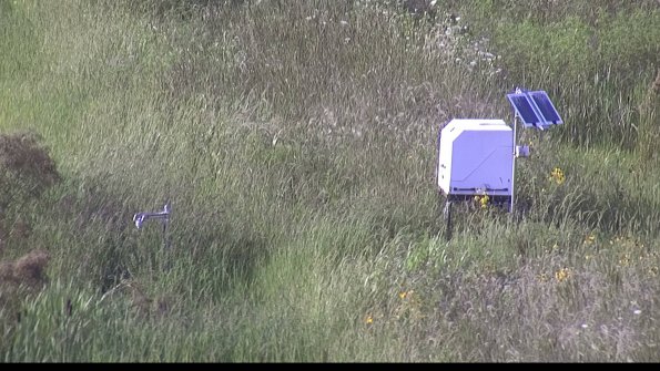 capture-6-23-08-08_18-17-06-49