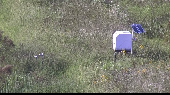 capture-6-23-08-08_18-23-36-71