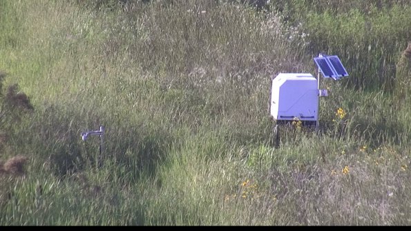 capture-6-23-08-08_19-24-16-73