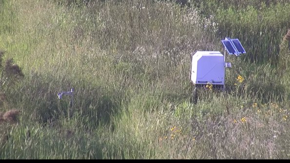 capture-6-23-08-08_19-37-16-55