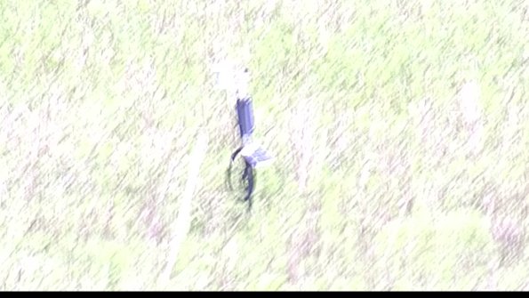 capture-7-23-08-08_13-15-18-50