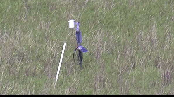 capture-7-23-08-08_15-14-29-72