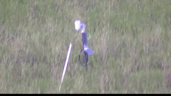 capture-7-23-08-08_20-33-47-19