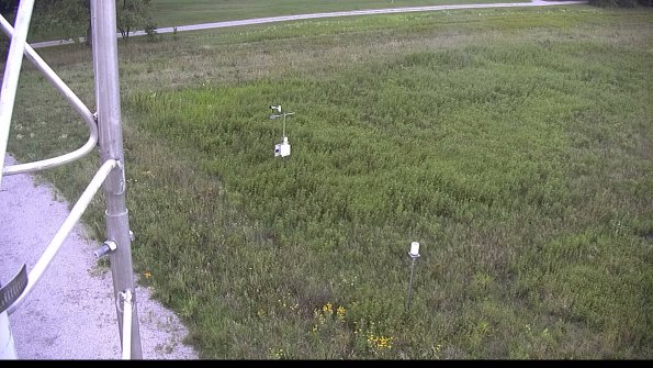 capture-1-23-08-11_19-43-41-03