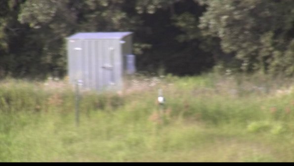 capture-2-23-08-11_19-07-58-55