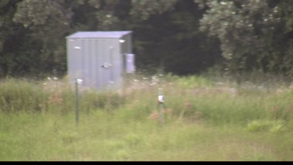 capture-2-23-08-11_19-35-58-63