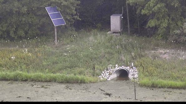 capture-3-23-08-11_13-48-11-54