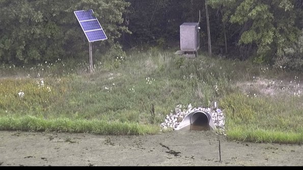 capture-3-23-08-11_14-08-11-58