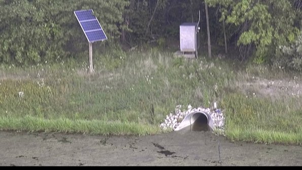 capture-3-23-08-11_17-50-11-76