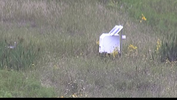 capture-4-23-08-11_13-10-28-30