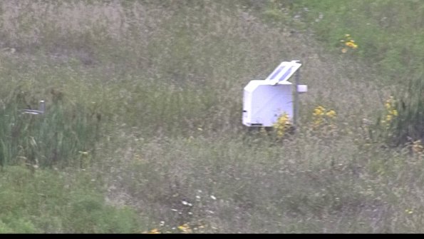 capture-4-23-08-11_13-42-26-66