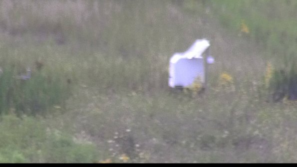 capture-4-23-08-11_16-32-28-21