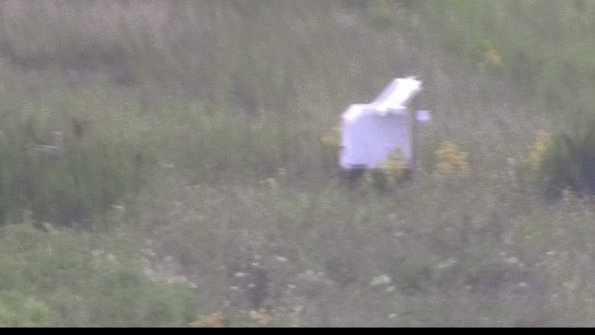 capture-4-23-08-11_17-50-27-71