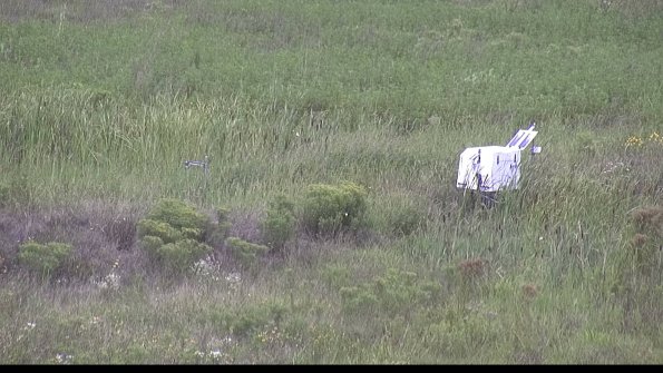 capture-5-23-08-11_12-20-41-37