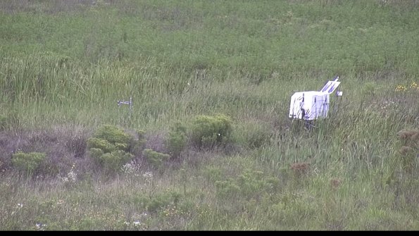 capture-5-23-08-11_12-30-42-17