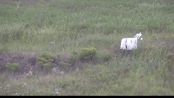 capture-5-23-08-11_12-32-41-66