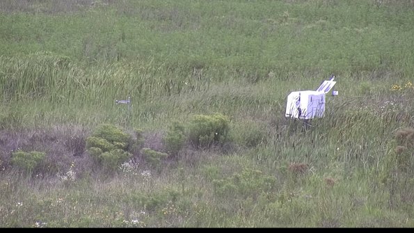 capture-5-23-08-11_12-48-42-29