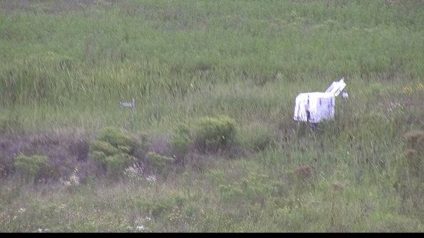 capture-5-23-08-11_13-38-41-57