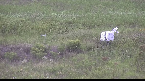 capture-5-23-08-11_13-42-41-88