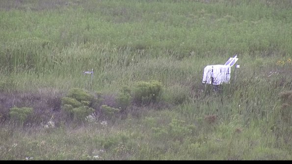 capture-5-23-08-11_13-50-41-99