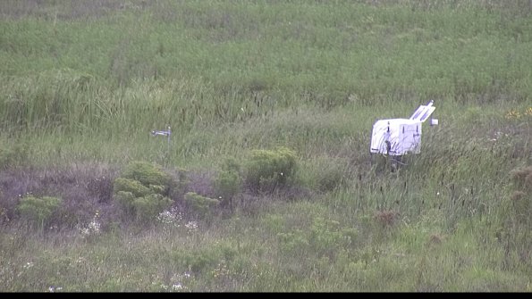 capture-5-23-08-11_13-52-41-88