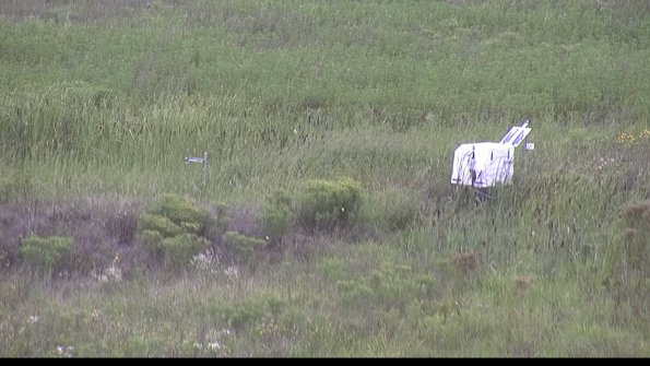 capture-5-23-08-11_13-58-41-98