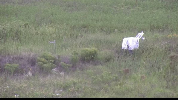 capture-5-23-08-11_14-00-41-93