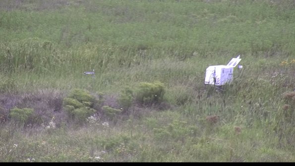 capture-5-23-08-11_14-04-41-97