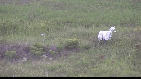 capture-5-23-08-11_14-30-42-04