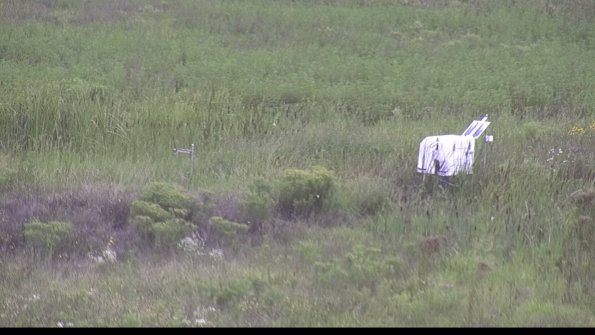 capture-5-23-08-11_15-16-42-08