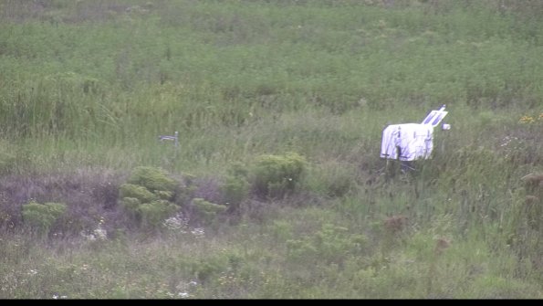 capture-5-23-08-11_15-20-41-92