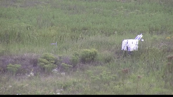 capture-5-23-08-11_15-22-42-24