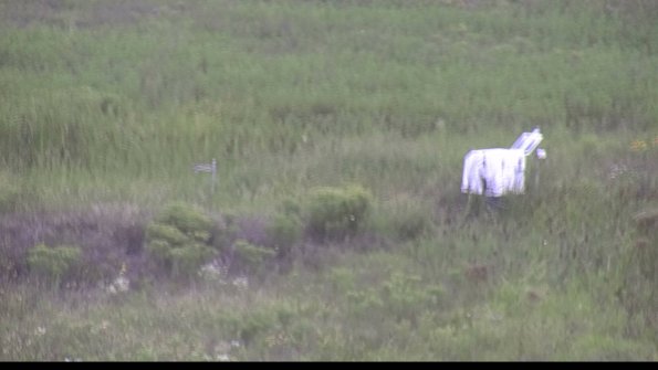 capture-5-23-08-11_15-34-41-86