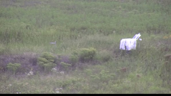 capture-5-23-08-11_15-36-41-88