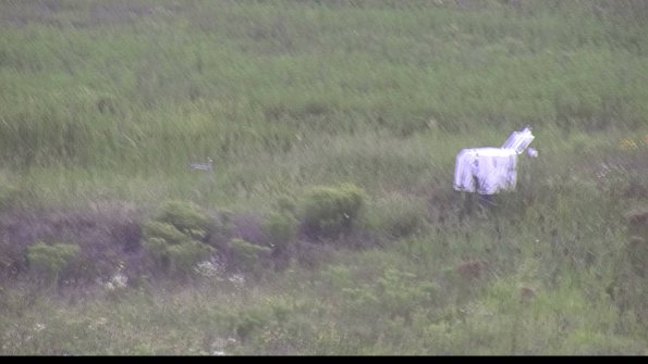 capture-5-23-08-11_15-48-42-31