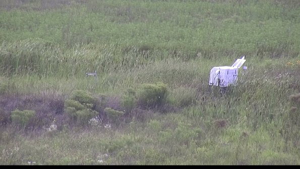 capture-5-23-08-11_16-40-41-50