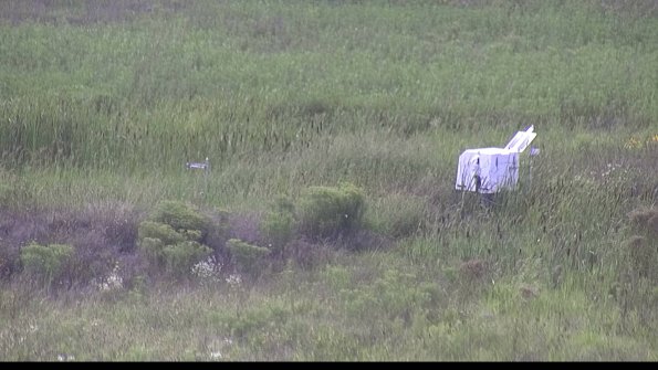 capture-5-23-08-11_16-56-41-53