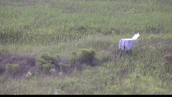 capture-5-23-08-11_17-04-42-22