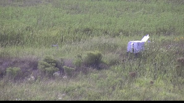 capture-5-23-08-11_17-14-42-36